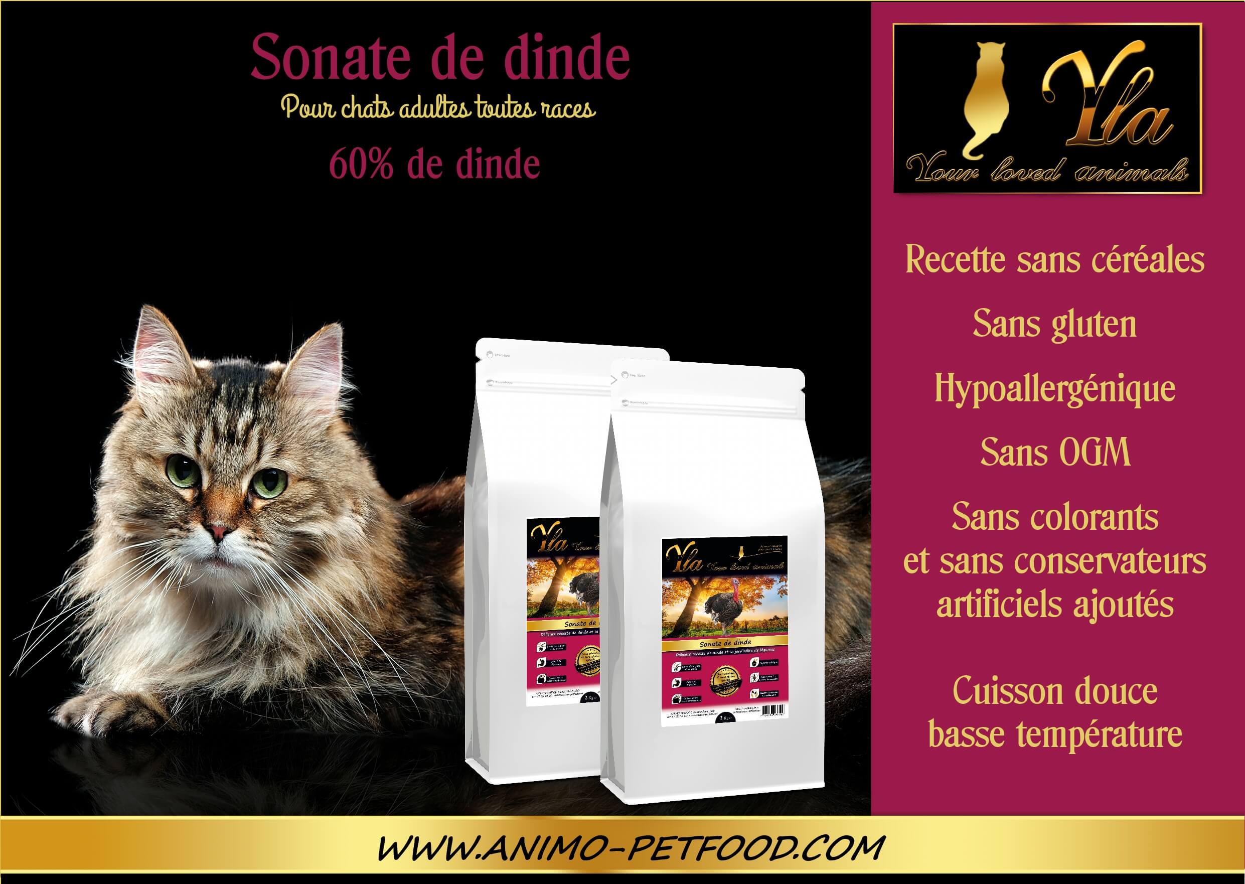 nourriture-sans-cereale-pour-chat